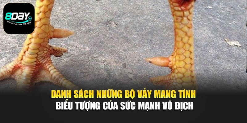 Danh sách những bộ vảy mang tính biểu tượng của sức mạnh vô địch